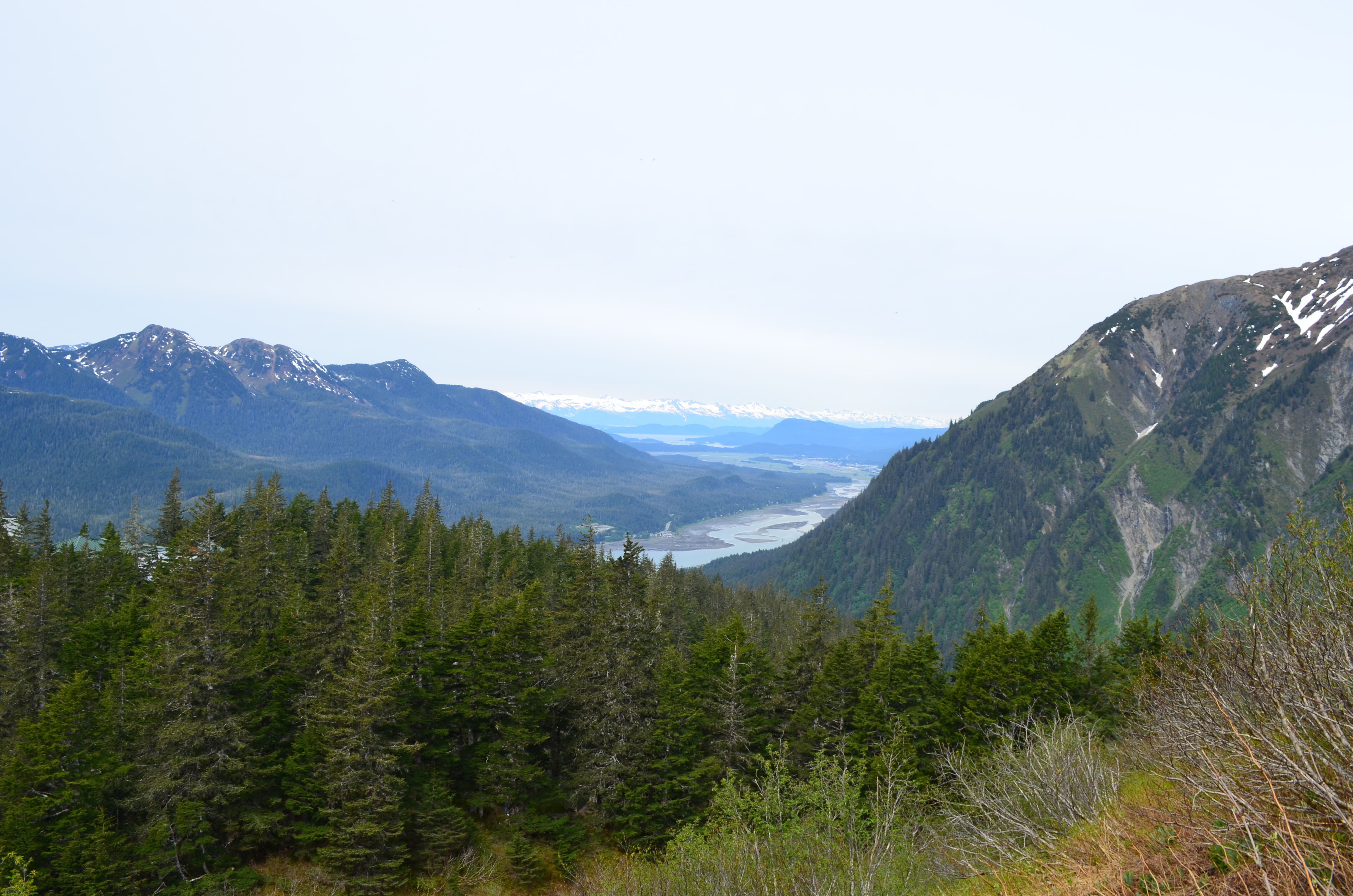 ./2017/08 - Alaska Cruise/08 - Juneau/DSC_0931.JPG